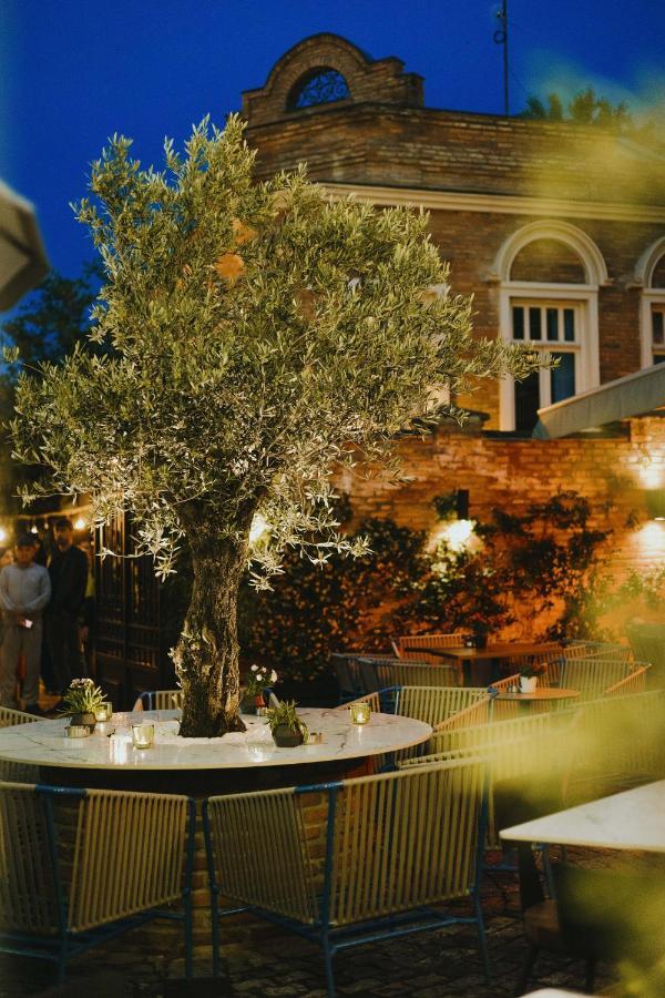 The Blue Fox Hotel تبليسي المظهر الخارجي الصورة